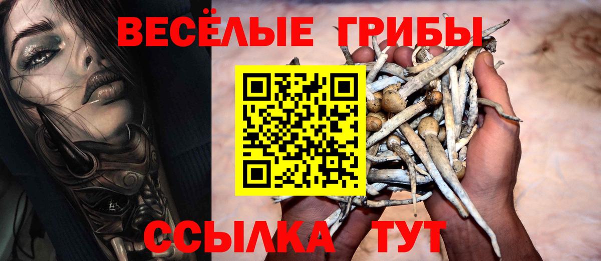 Галлюциногенные грибы Magic Shrooms  Вход с VPN  купить наркотики сайты  Биробиджан 