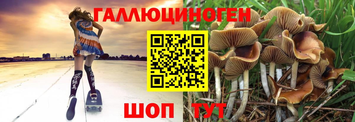Псилоцибиновые грибы ЛСД Биробиджан